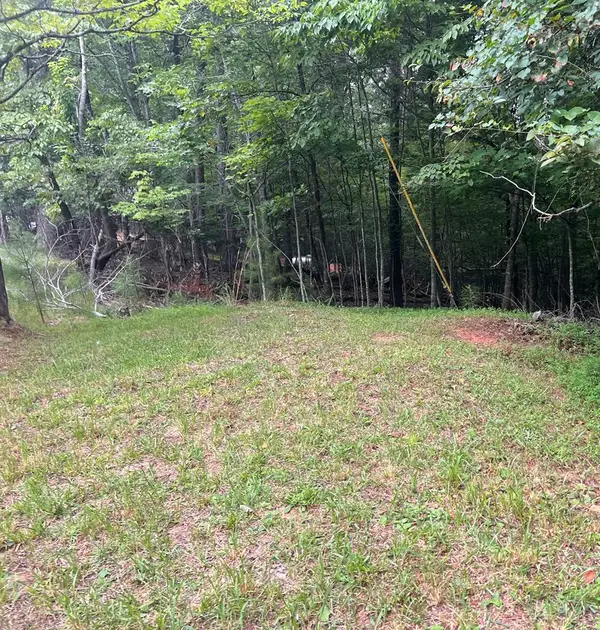 LT 445 Villa Drive, Ellijay, GA 30540