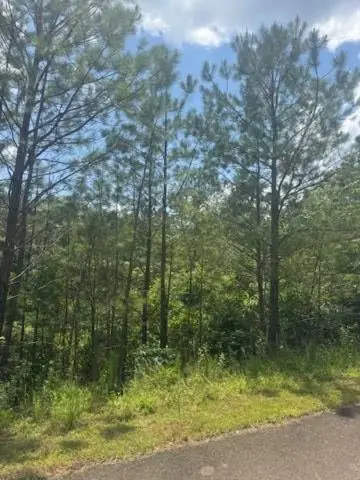 LT 43&44 Reece Mountain Road, Ellijay, GA 30536 - #1