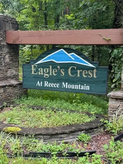LT 43&44 Reece Mountain Road, Ellijay, GA 30536 - #3