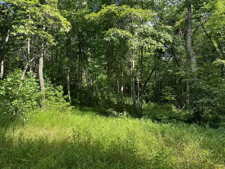 Lot 30 Fairview Drive, Morganton, GA 30560 - #2
