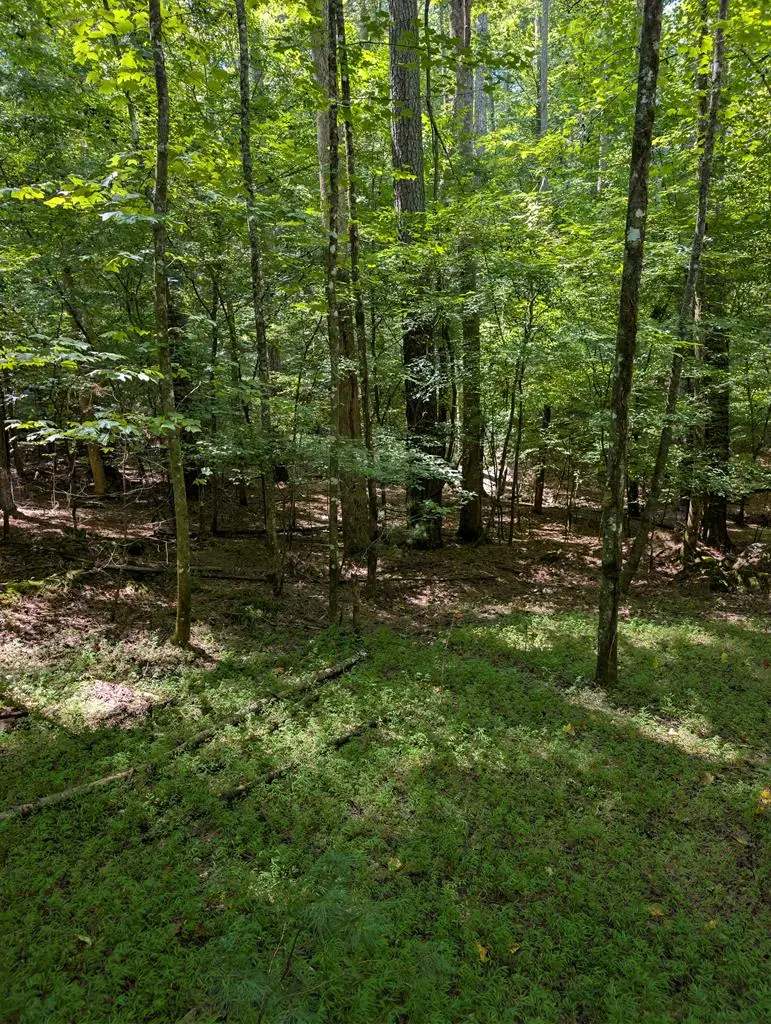 Lt 3079R Monocle Drive, Ellijay, GA 30540 - #1