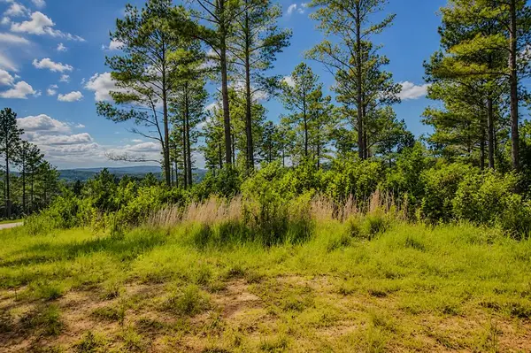Lot 62 Seven Mile Creek Road, Talking Rock, GA 30175