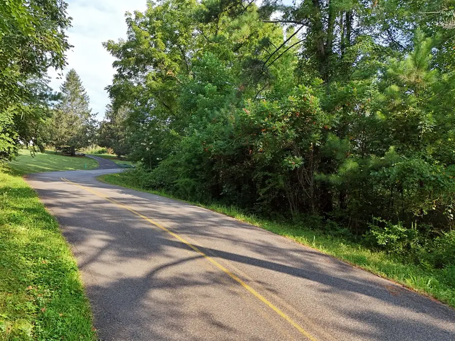 Lot 4 Butterfly Lane, Blairsville, GA 30512 - #3