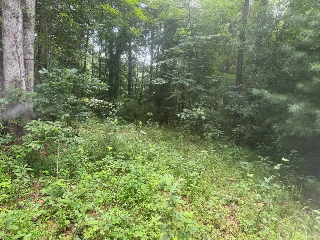 00 Camp Creek Estates Drive, Murphy, NC 28906 - #1