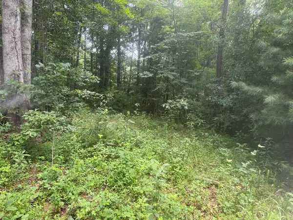 00 Camp Creek Estates Drive, Murphy, NC 28906