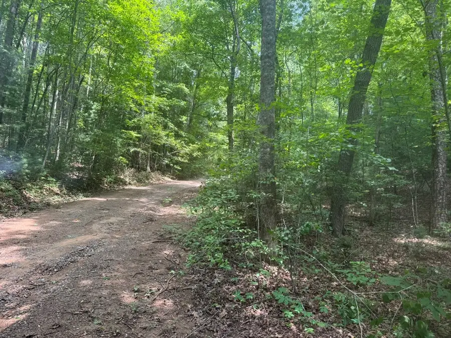 00 Camp Creek Estates Drive, Murphy, NC 28906 - #2