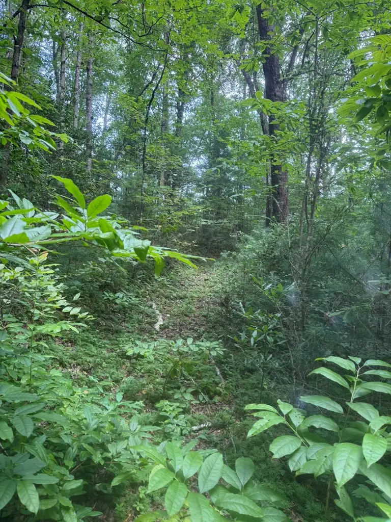 00 Camp Creek Estates Drive, Murphy, NC 28906 - #3