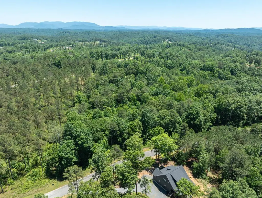 0 High River Road, Ellijay, GA 30540 - #1