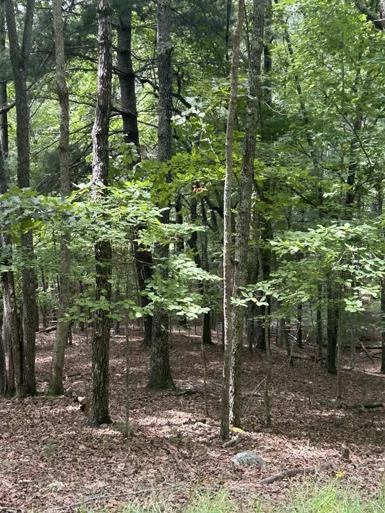 1.5 Liberty Hill Road, Morganton, GA 30560 - #1
