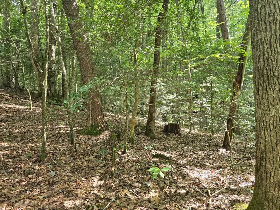 3.59 AC Swallows Creek Road, Hiawassee, GA 30546 - #2