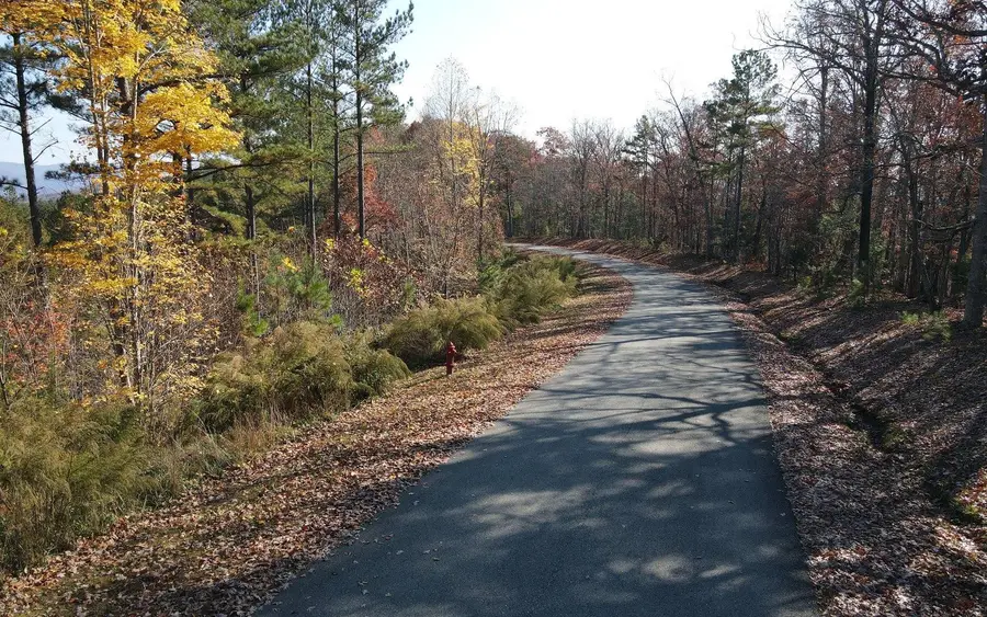 60 Thirteen Hundred, Blairsville, GA 30512 - #3