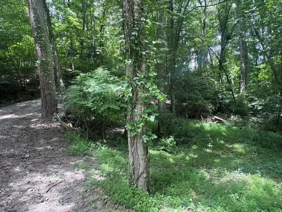 5 Trillium Lane, Brasstown, NC 28902 - #2