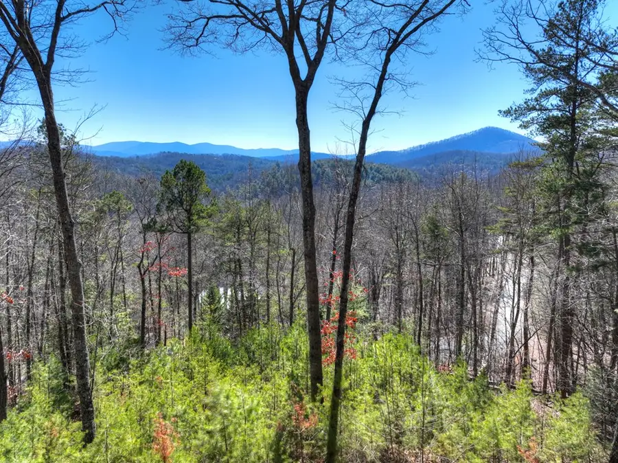 78 Brass Hill Road, Blue Ridge, GA 30513 - #3