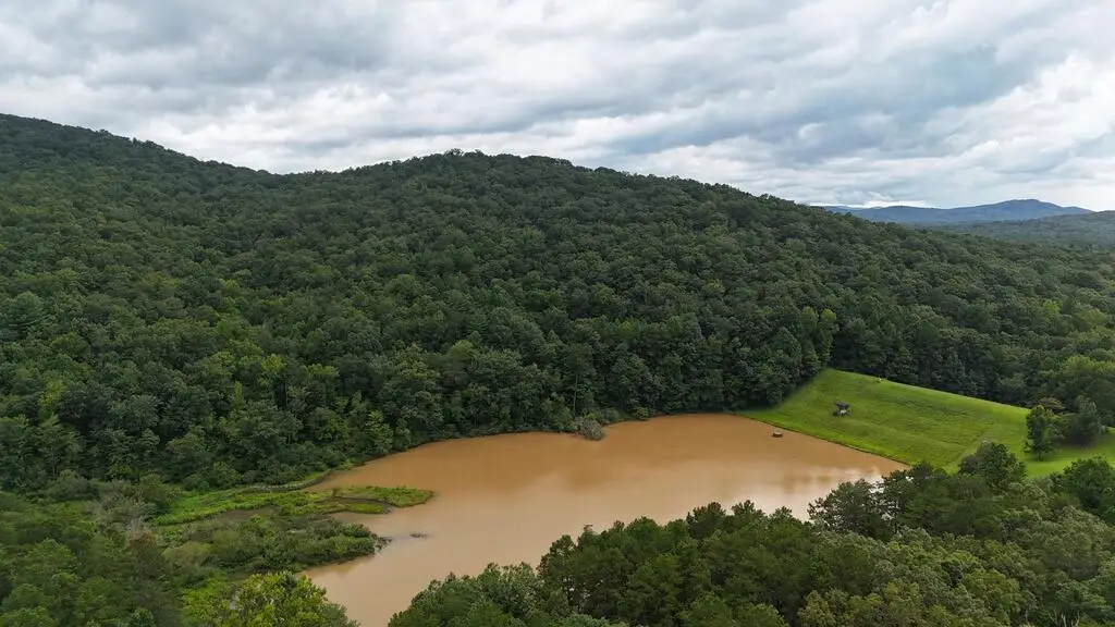 0 Roy Road, Ellijay, GA 30536 - #1