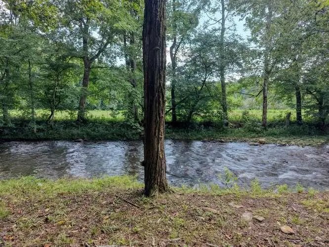 201 Ama Lane, Hayesville, NC 28904 - #2