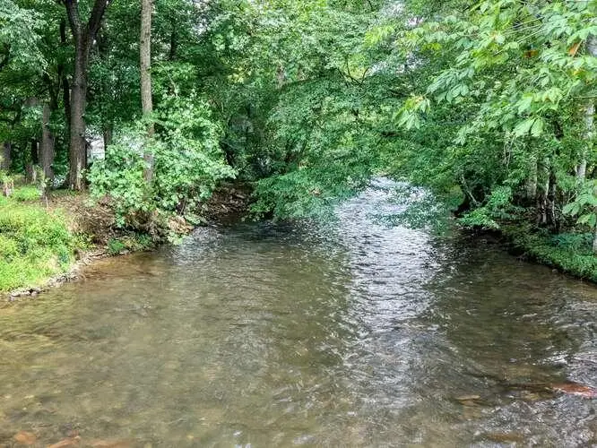 201 Ama Lane, Hayesville, NC 28904 - #3
