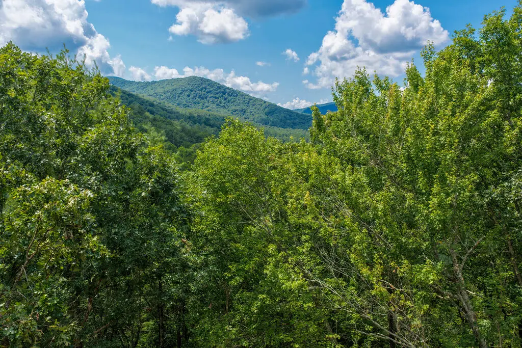 Lot 3 Clay's Way, Fannin, GA 30522 - #1
