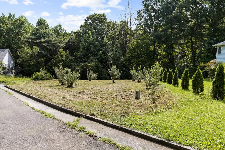 Lot 9 Oakwood Court, Fannin, GA 30513 - #2