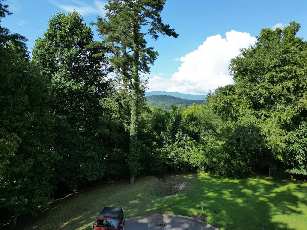 Lot 11 Bent Grass Circle, Hayesville, NC 28904 - #1
