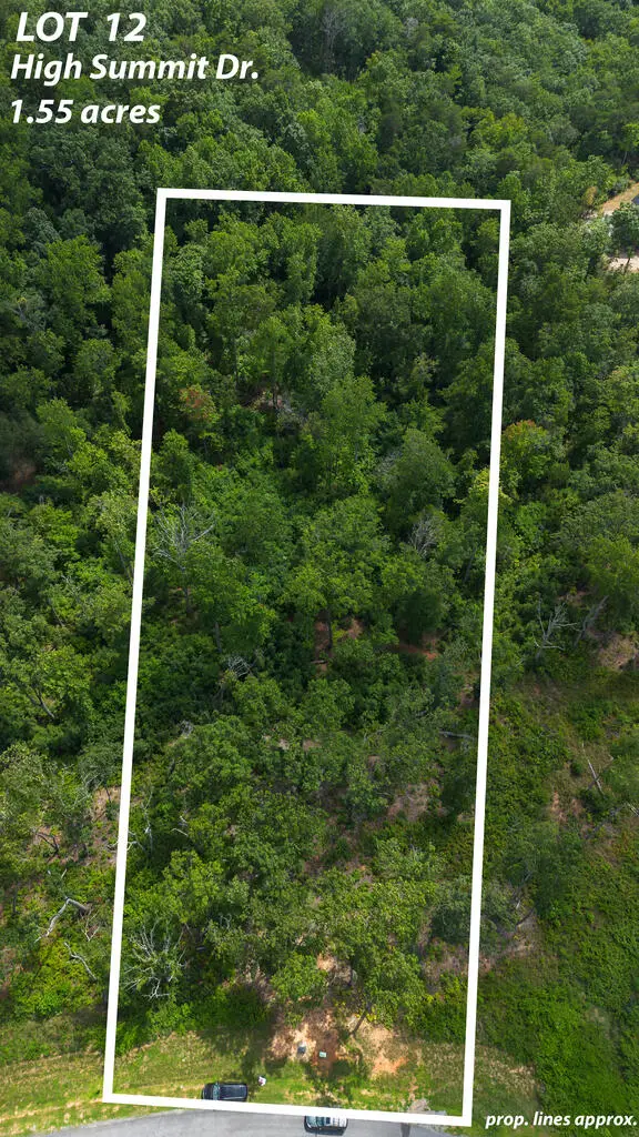 Lt 12 High Summit Drive, Talking Rock, GA 30175 - #2