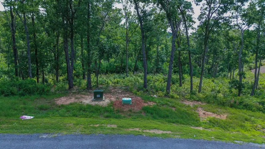 Lt 12 High Summit Drive, Talking Rock, GA 30175 - #3