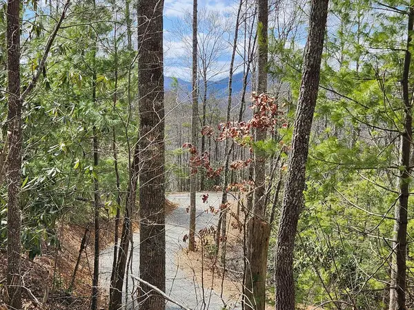 00 Camp Branch Road, Topton, NC 28783