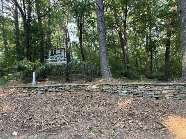 0 Heatherwood Way, Ellijay, GA 30540 - #2