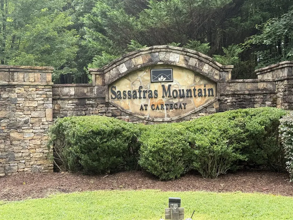 9 Foxpaw Leaf Court, Ellijay, GA 30536 - #1