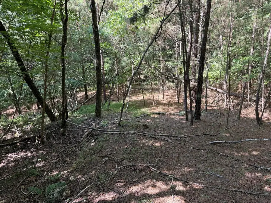 Lot 25 The Hills At Queens Gap, Blairsville, GA 30512 - #2