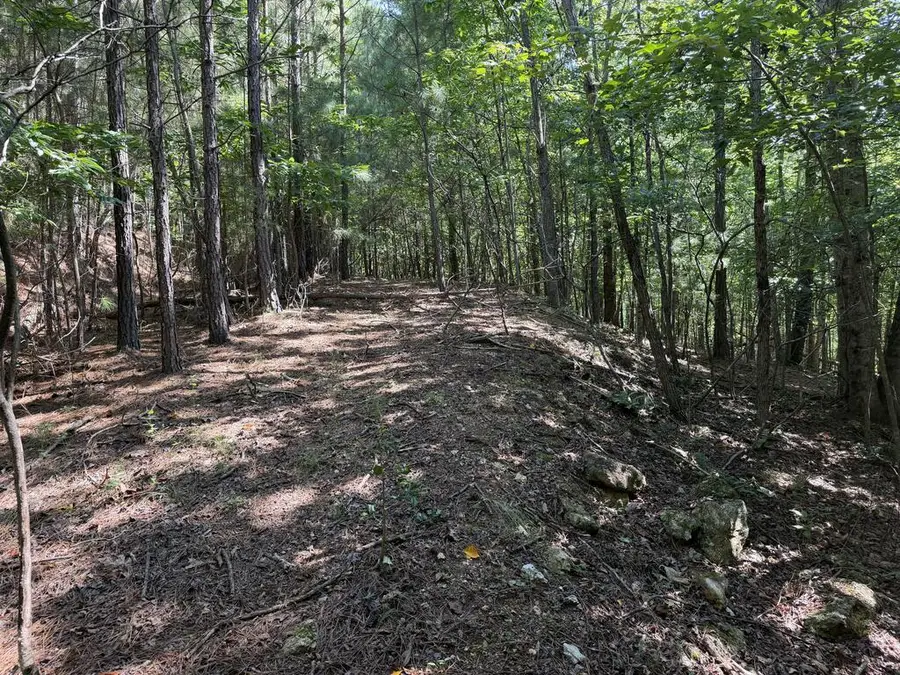 Lot 25 The Hills At Queens Gap, Blairsville, GA 30512 - #3