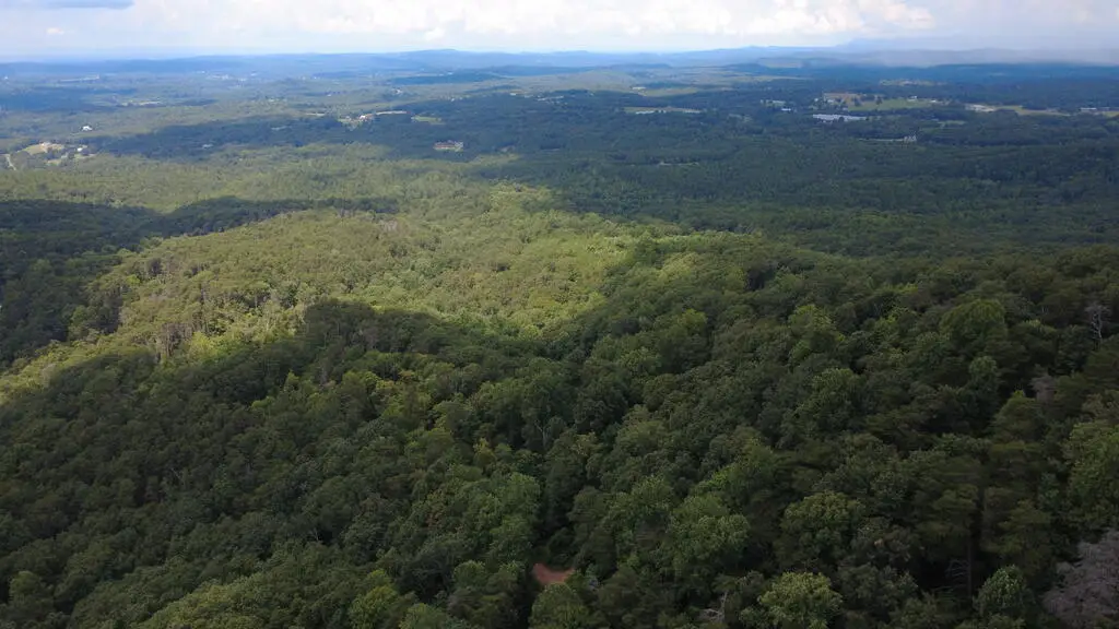 00 Firetower Road, Jasper, GA 30143 - #1