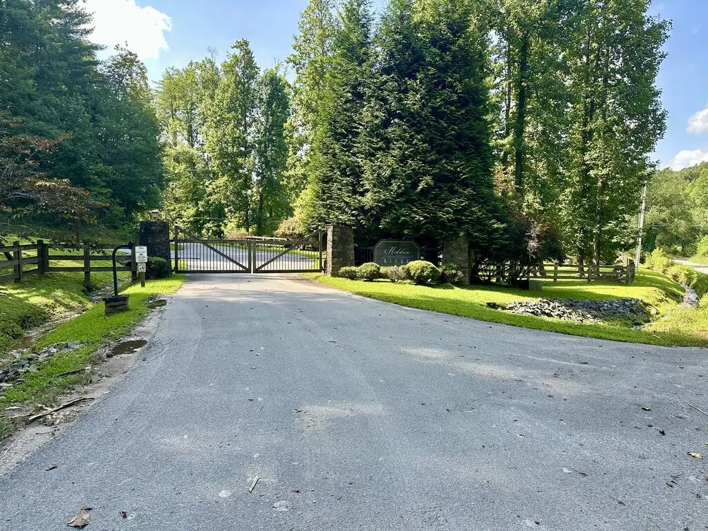 TBD Stonefly Cove, Hayesville, NC 28904 - #1