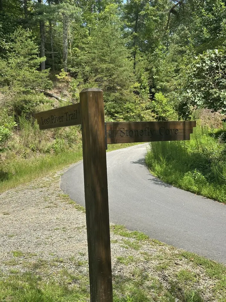 TBD Stonefly Cove, Hayesville, NC 28904 - #2