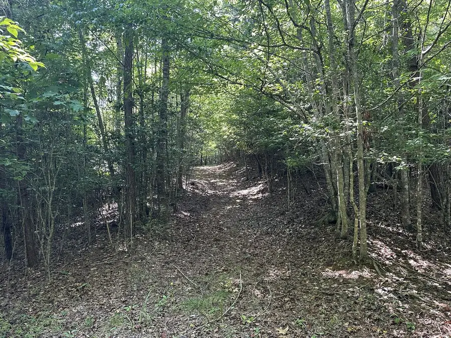 TBD Stonefly Cove, Hayesville, NC 28904 - #3