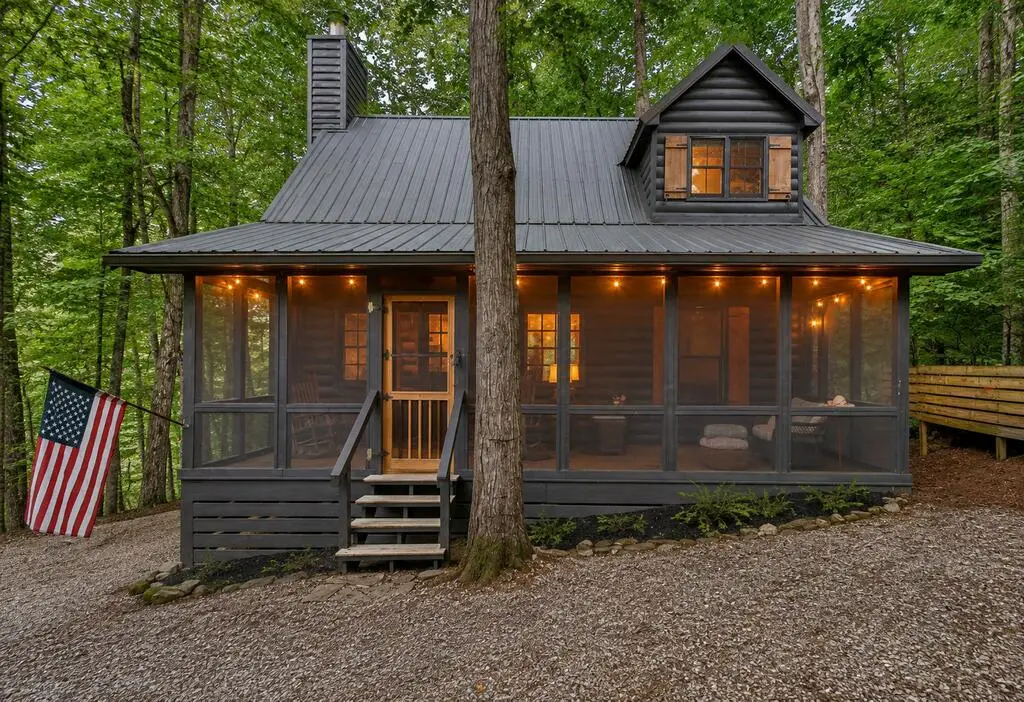681 Skyview Drive, Ellijay, GA 30536 - #1
