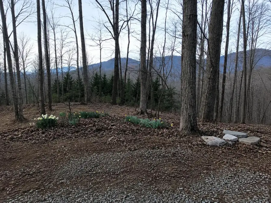 681 Skyview Drive, Ellijay, GA 30536 - #2