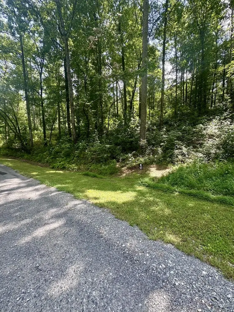 Lt 43 Hilton Drive, Ellijay, GA 30540 - #2
