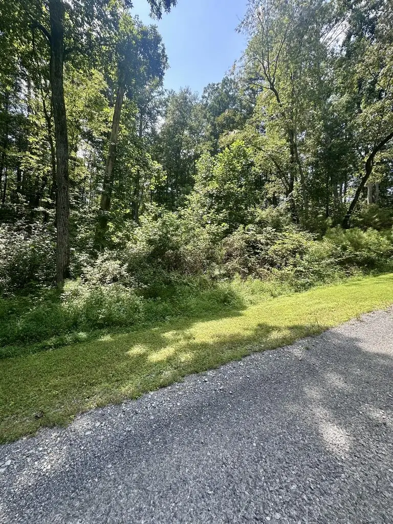 Lt 43 Hilton Drive, Ellijay, GA 30540 - #3