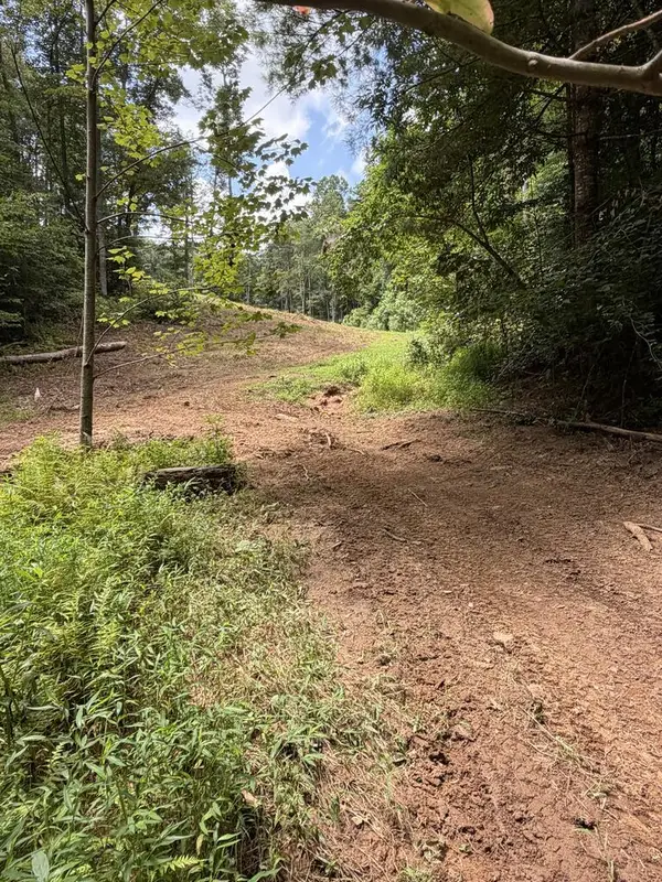 5.85 AC Emory Shield Road, Murphy, NC 28906