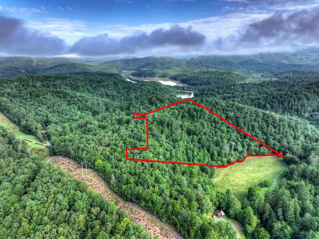 0 Andeburg Hollow Road, Copperhill, TN 37317 - #1