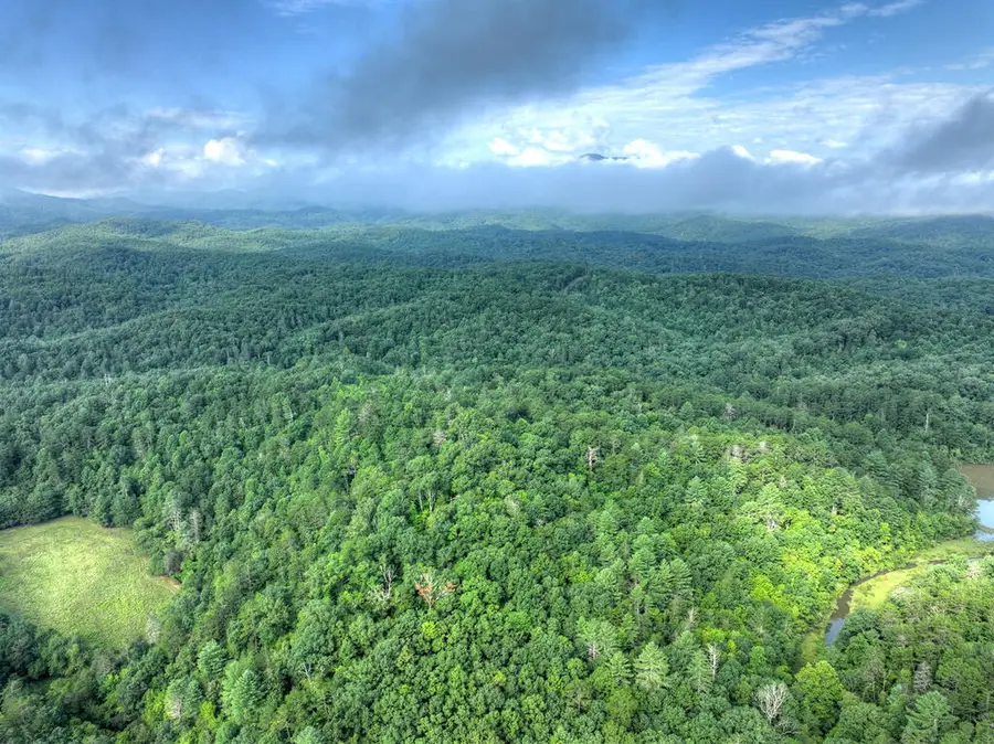 0 Andeburg Hollow Road, Copperhill, TN 37317 - #2