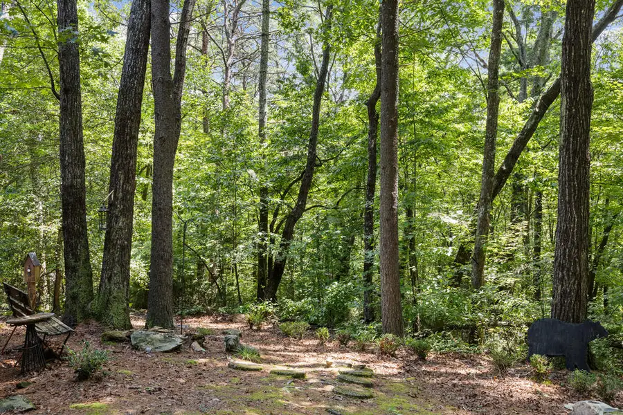 43 Jason Martin Circle, Cherry Log, GA 30522 - #3