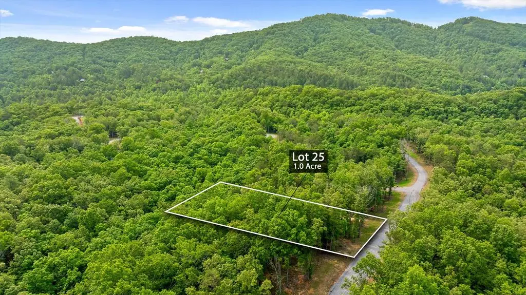 Lot 25 Crestview Point, Mineral Bluff, GA 30559 - #1