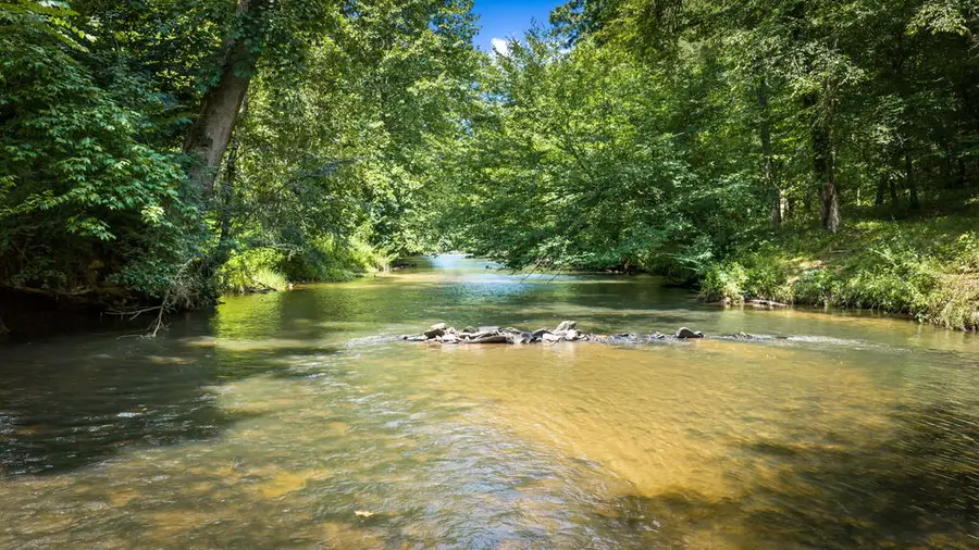 383 River Escape Drive, Ellijay, GA 30540 - #3