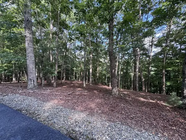 LOT 5 Westwood Avenue, Blairsville, GA 30512