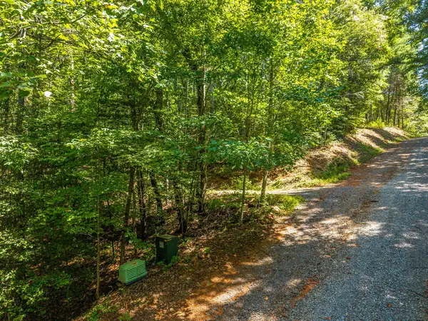 Tract 2A Stevens Ridge Road, Ellijay, GA 30540