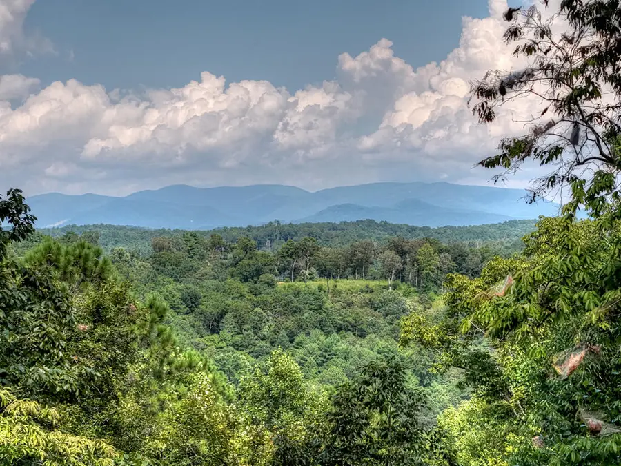 518 Mango Lane, Ellijay, GA 30536 - #2