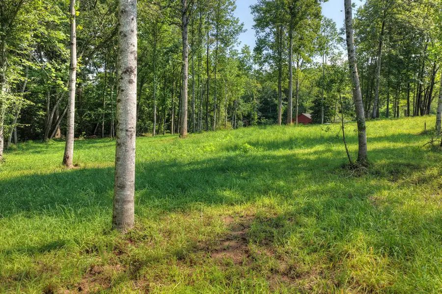 1.35 ac Wolf Creek Road, Murphy, NC 28906 - #2