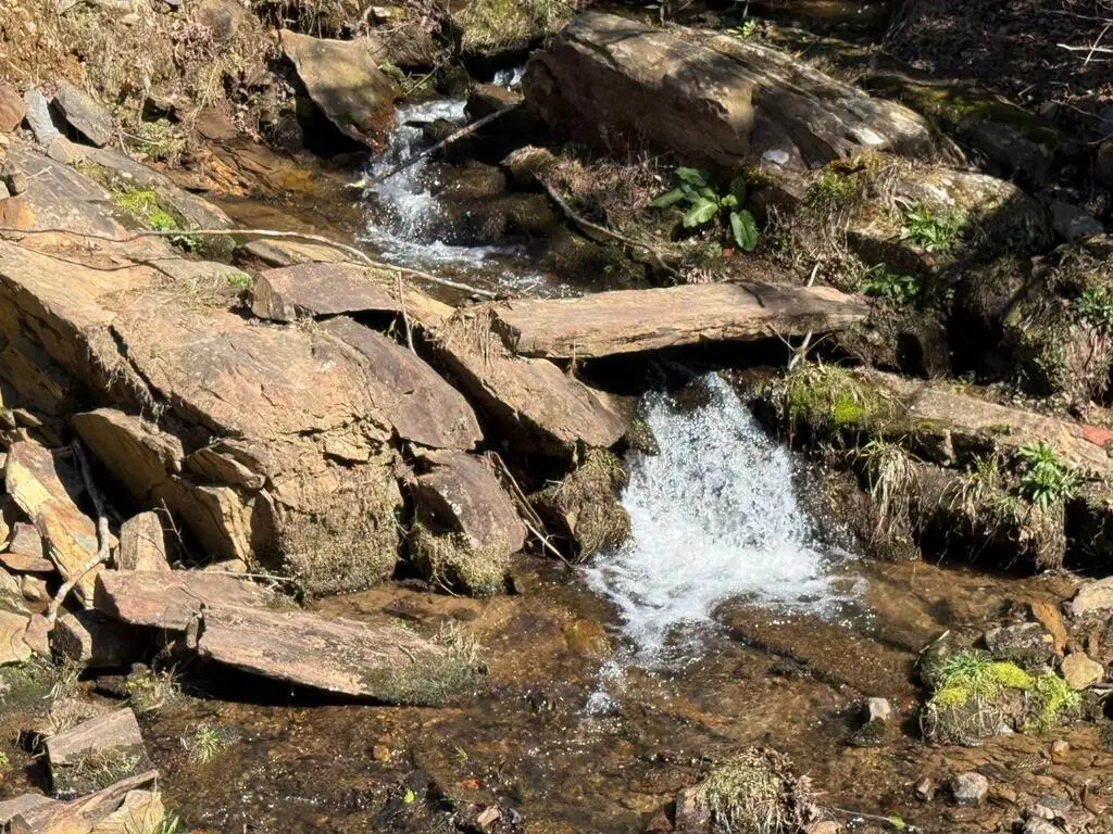 Lot 5 Wild Laurel, Brasstown, NC 28902 - #1