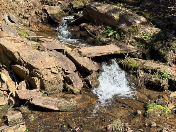 Lot 5 Wild Laurel, Brasstown, NC 28902